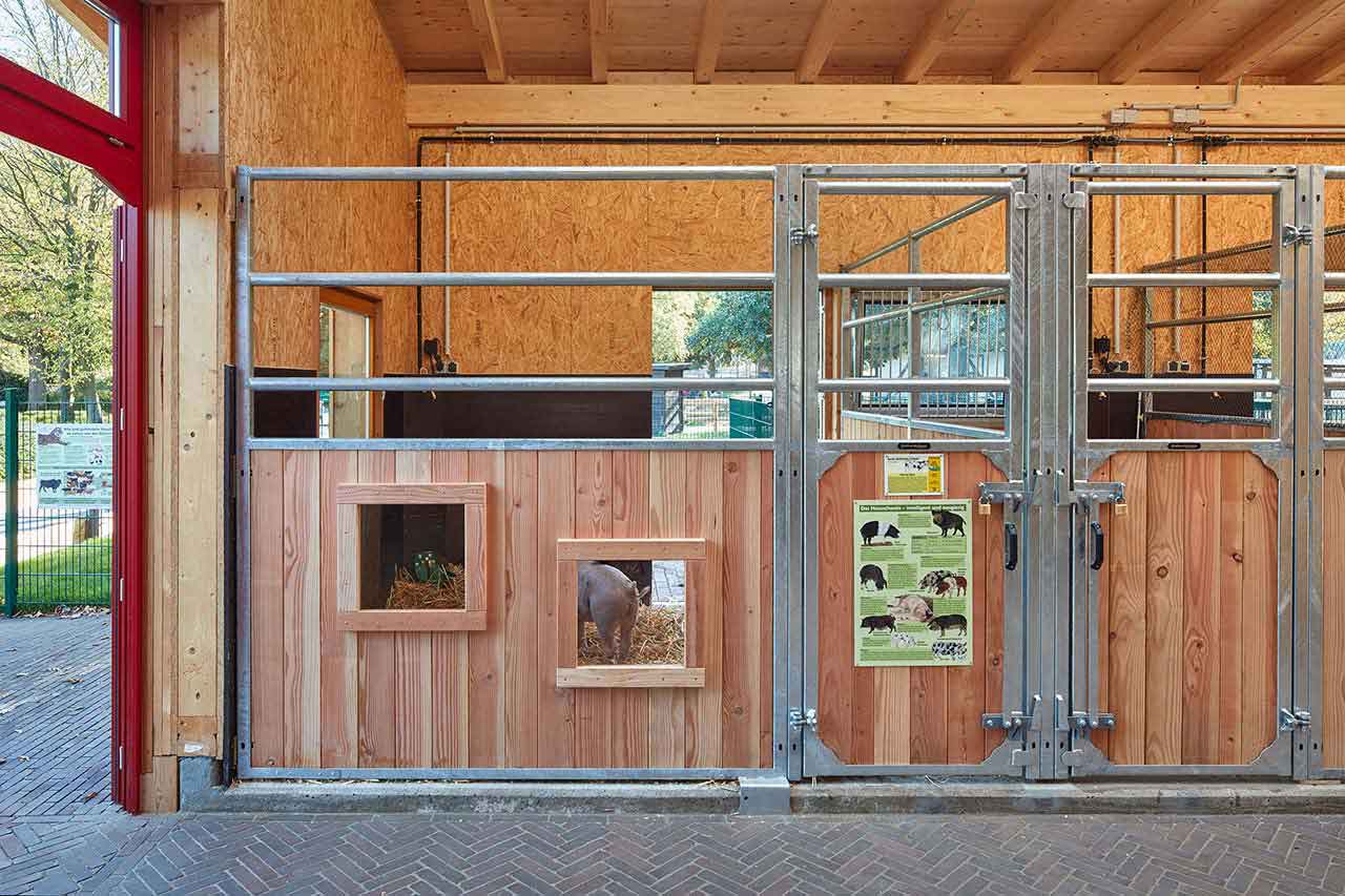 Ein Schwein in seinem großzügigen Stall mit Stroh-Einstreu.
