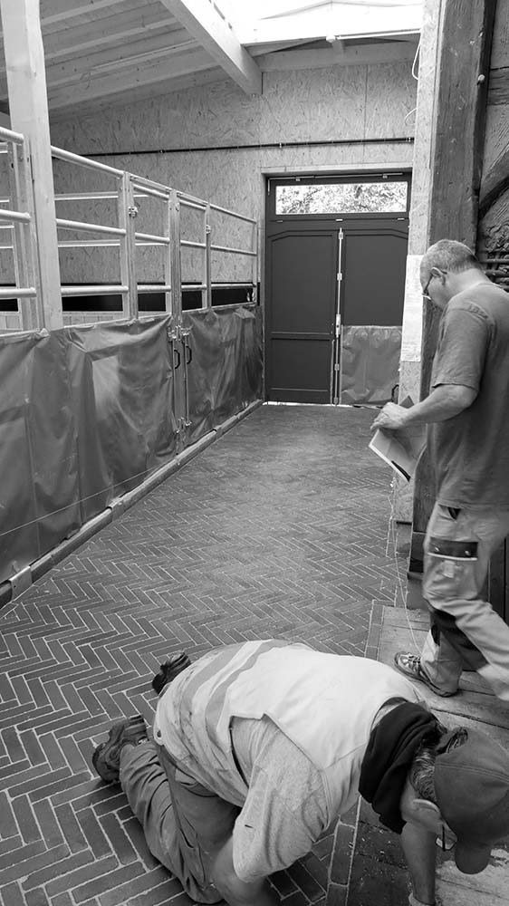 Handwerker legen einen Klinkerboden.